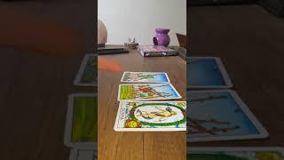 Aslan Burcu Kasım ayı 2019 tarot yorumu