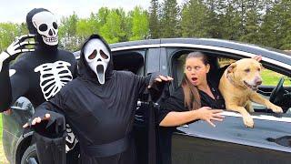 Skeleton Surprises Puppy & Scream with Car Ride Chase