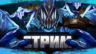 ЧЕМПИОН розыгрыш 3 аркан в доте  ARC WARDEN MEEPO LONE DRUID BROODMOTHER  шрифт