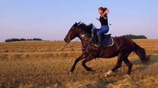 Красивая езда на лошади в дамском седле  Beautiful leap in the side saddle