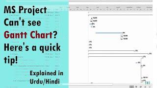 Where did my Tracking Gantt. Chart Go? UrduHindi