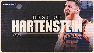 Isaiah Hartensteins best plays of 2023-2024 season  New York Knicks