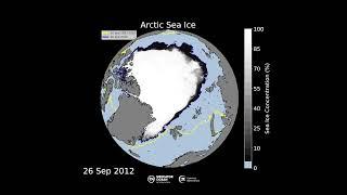 Arctic Sea Ice from January 1993 to October 2023