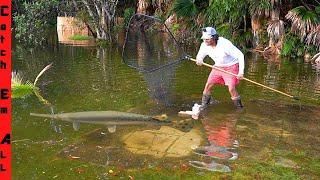 Catching FISH SWIMMING in FLOODED BACKYARD