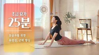 누구나 할 수 있는 25분 홈요가  기초요가 스트레칭 유연성 늘리기 근력 키우기