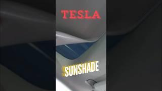 The Perfect Tesla Sunshade
