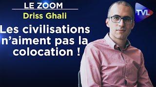 Diversité et séparatisme  « Les civilisations n’aiment pas la colocation  » - Zoom - Driss Ghali