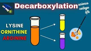 Amino Acid Decarboxylation Test  Microbiology Lab