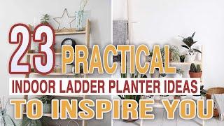 23 Practical Indoor Ladder Planter Ideas To Inspire You