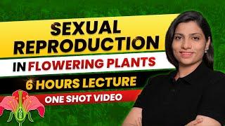 Sexual Reproduction in Flowering Plants Class 12 One Shot All Theory & PYQs NEET 2024 Ritu Rattewal