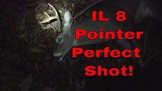 IL 8 Point Buck