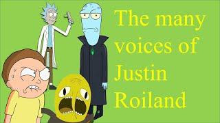 Almost All the characters voiced by Justin Roiland a.k.a Creator of Rick and Morty