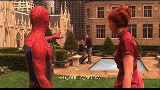 Funny Spiderman Meme - sister where is your hijab 