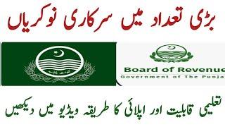 Board of revenue Punjab government Jobs 2024  Surveyor jobs in Punjab government 2024 new update