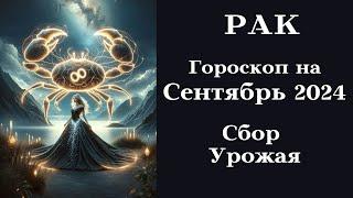 РАК - Сентябрь 2024 Настало Время Сбора Урожая┃#гороскоп #рак #сентябрь #2024 #топ #удача #любовь