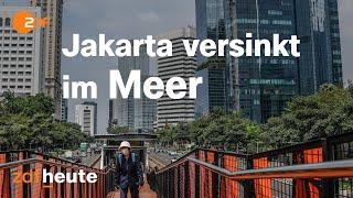 Indonesiens neue Hauptstadt Mega-Projekt Nusantara  auslandsjournal
