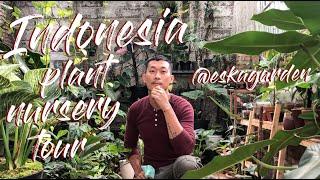 Wisata Pembibitan Tanaman Indonesia - Sanggar Kemuning