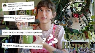 Q&A Chatty Repot  marriage my real thoughts on huge plant collections do I have another job etc