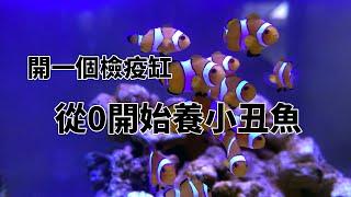 從0開始開一個海水檢疫缸養小丑魚，海水魚並沒有你想像那麼難【水世界水族馆】