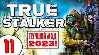 S.T.A.L.K.E.R. TRUE STALKER  ЛУЧШИЙ МОД 2023   11 серия