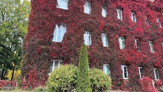 4K ГРОДНО  BELARUS GRODNO STREET WALKING IN AUTUMN   ПРОГУЛКА ПО ГРОДНО