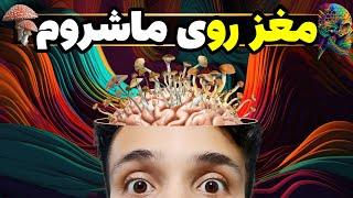 اثرات روانگردانی مجیک ماشروم چطوری به وجود میاد ؟