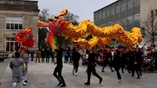 Dragon Dance for Chinese New Year 2020