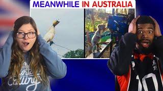 50 Photos That Prove Australia Is Not Like Any Other Country  Americans React