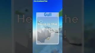 Feather Family Mini Facts #2 - The Gull #featherfamily #roblox