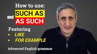 How to Use SUCH AS and AS SUCH featuring FOR EXAMPLE and LIKE