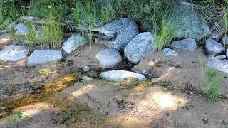 Babbling Brook on Lake Pleasant