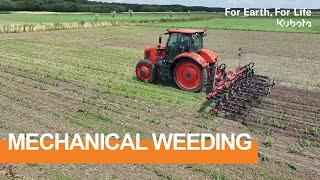 Kubota IC series and GI series Utmost precision in mechanical weed control   #Kubota 2024