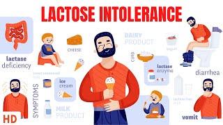 Lactose Intolerance Everything You Need To Know