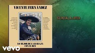 Vicente Fernández - Guadalajara Audio