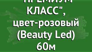 КЛИП ЛАЙТ- СВЕТОДИНАМИКА ПРЕМИУМ КЛАСС цвет-розовый Beauty Led 60м обзор CLK-EST600-10-1P