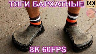 ТЯГИ БАРХАТНЫЕ 8K 60FPS 