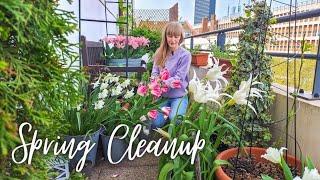 Spring Container Garden Maintenance