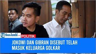 Jokowi dan Gibran Disebut Telah Masuk Keluarga Golkar Politikus PDIP