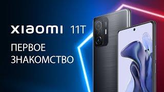 Xiaomi 11T - Первое знакомство  Обзор от Алины Cripsy