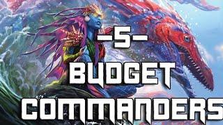 5 Budget Commanders.