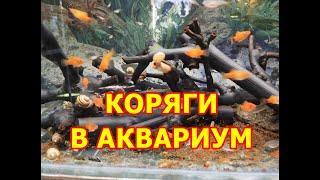 Как сварить коряги для аквариума и поменять цвет корягам