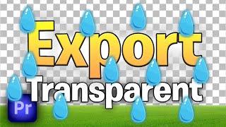 How To Export Transparent Video In Premiere Pro