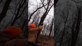 Open Sight 22lr Pistol Squirrel Hunt