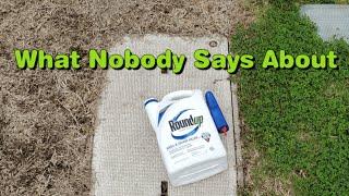 Does Roundup Glyphosate Kill Grass Permanently?