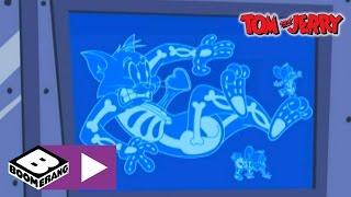 Tom & Jerry  Luggage X-Ray  Boomerang UK