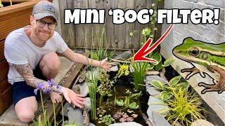 DIY Mini *Wildlife* Pond. step-by-step