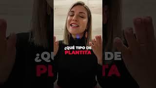 ¿Qué planta eliges?