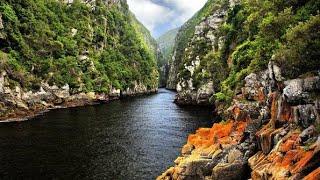 Inside The Most Beautiful Place On Garden Route Tsitsikamma National Park South Africa