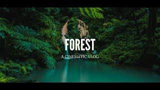Cinematic Vlog - Canadian Forest