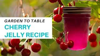 Easy and Delicious Homemade CHERRY JELLY Recipe  Garden to Table